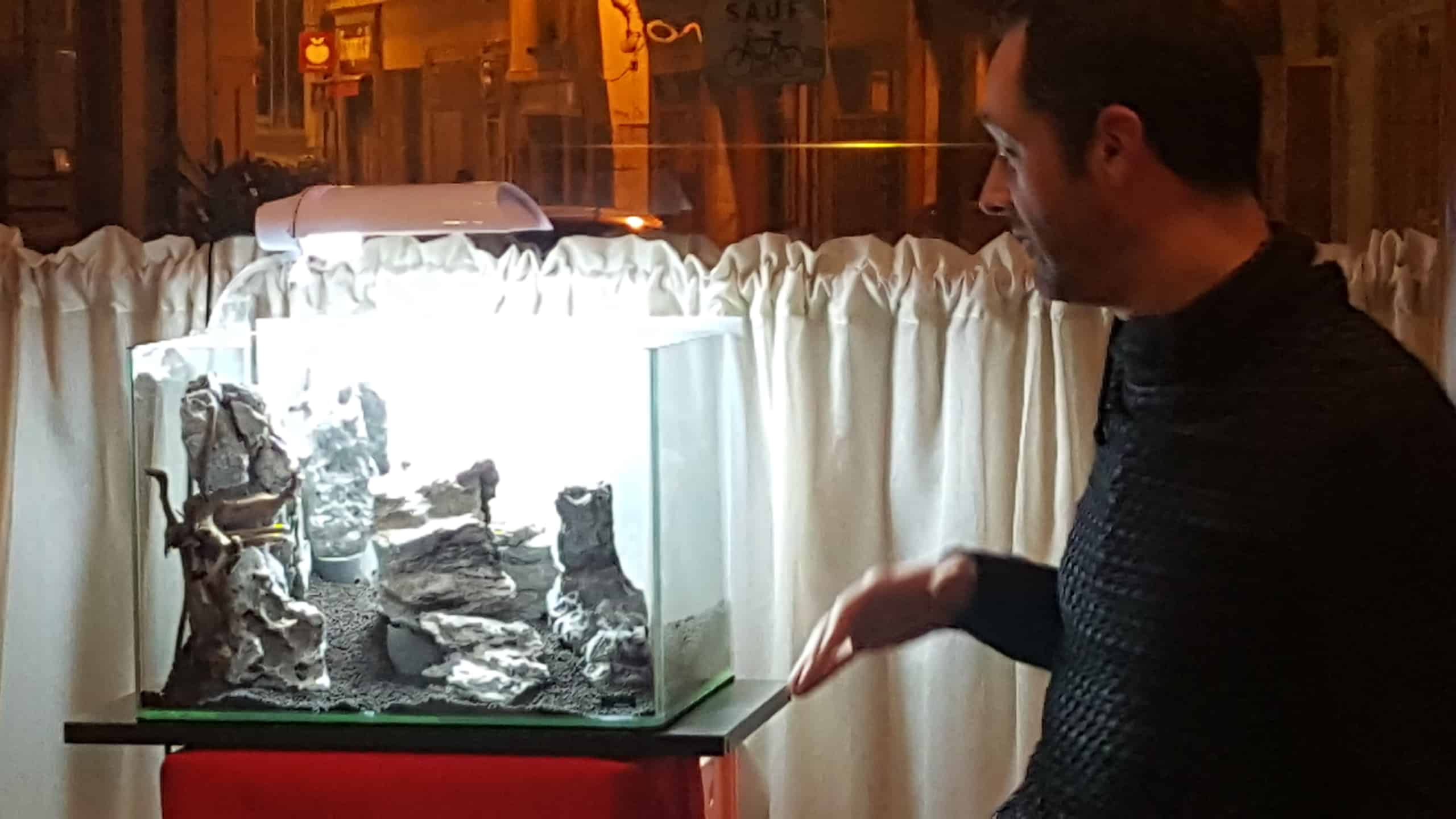 Hardscape 2