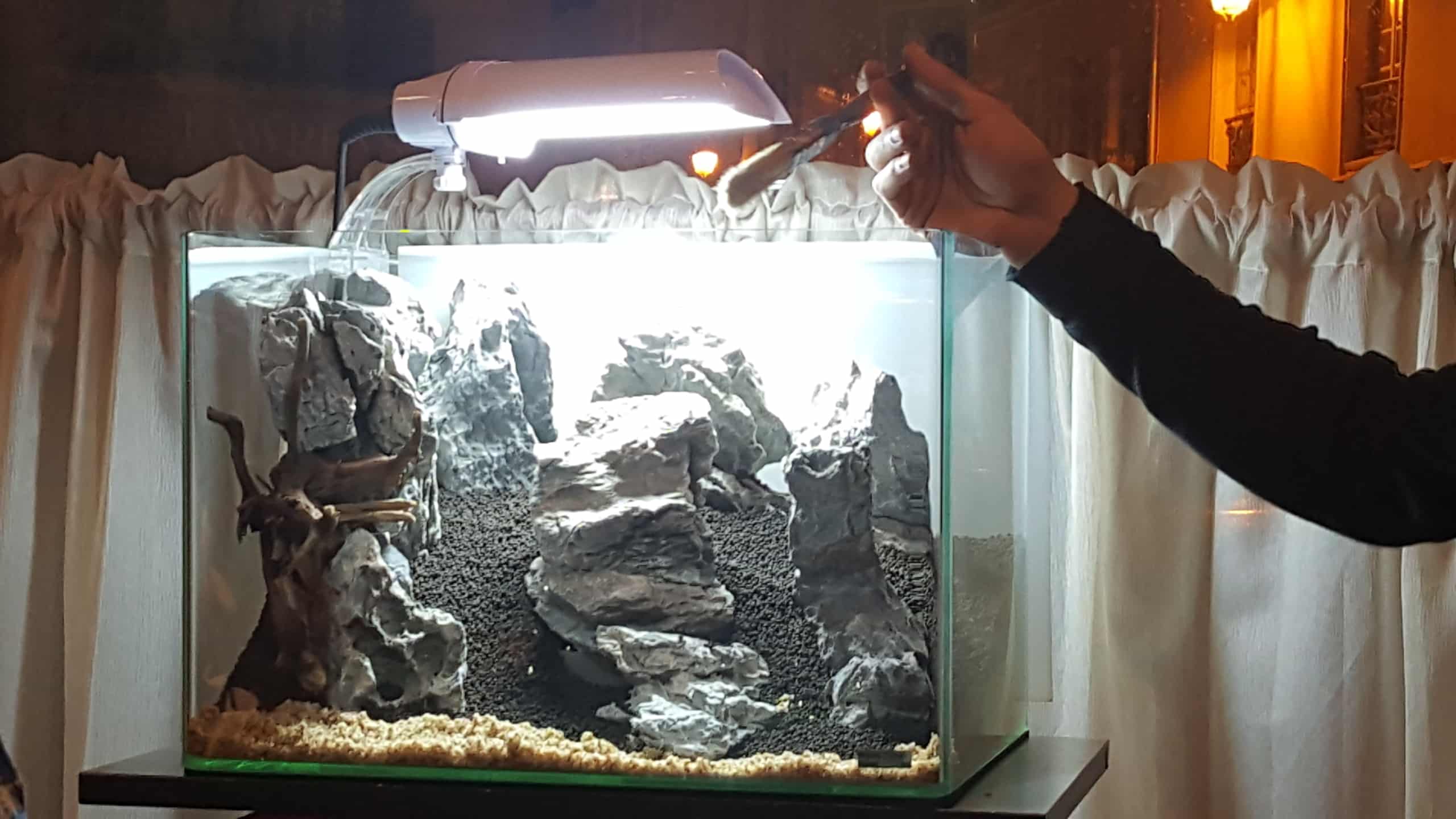 Hardscape 3