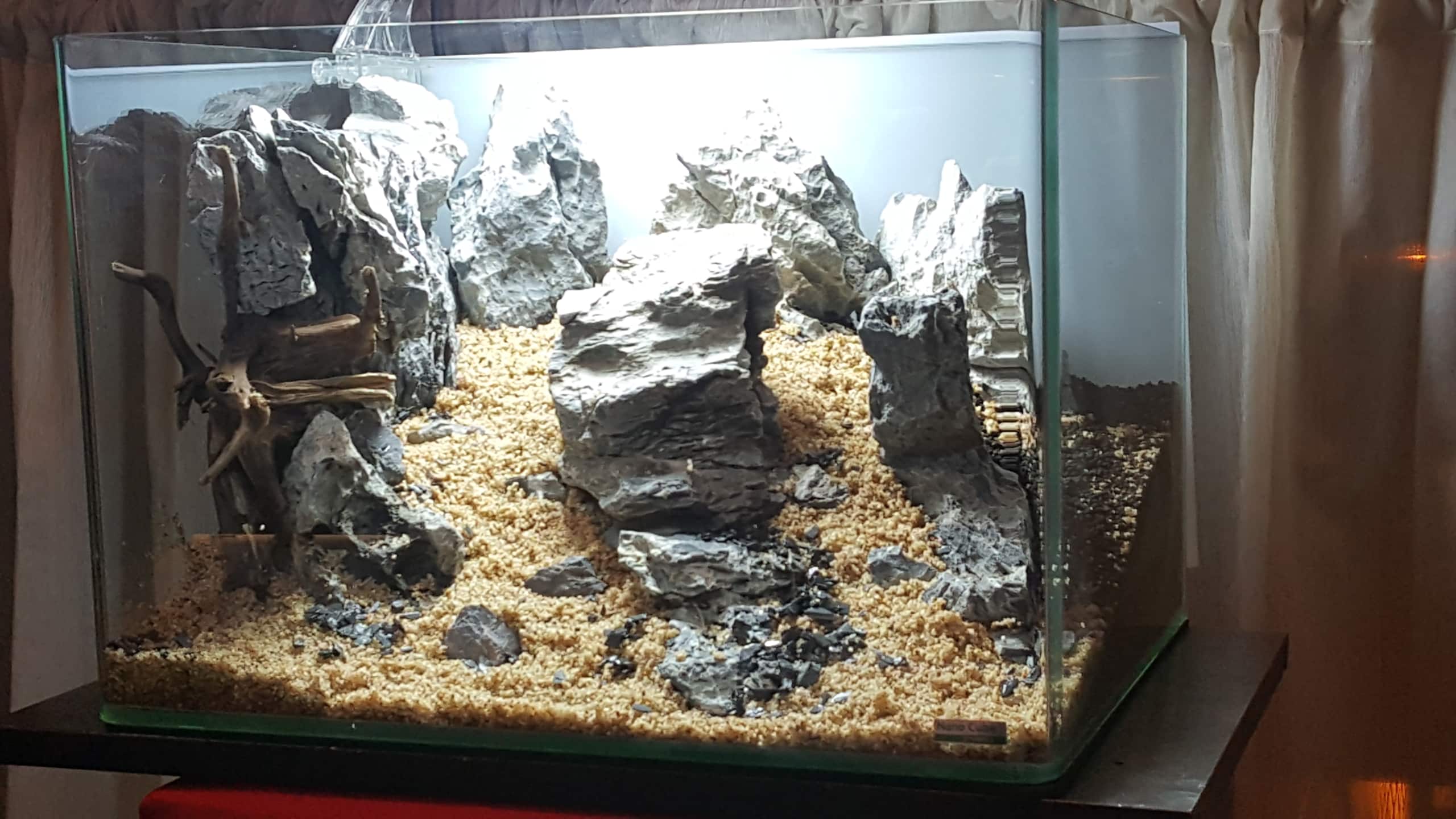 Hardscape 5