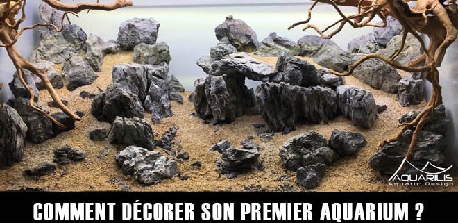 Comment décorer son aquarium ?