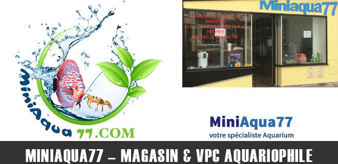 Miniaqua77 - Magasin & VPC Aquariophile