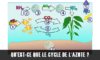Qu’est-ce que le cycle de l‘azote ?