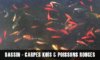 Les carpes KOÏs et poissons rouges. Comment les maintenir en bassin ?