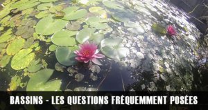 FAQ - Questions fréquemment posées