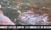 Les nuisibles du bassin