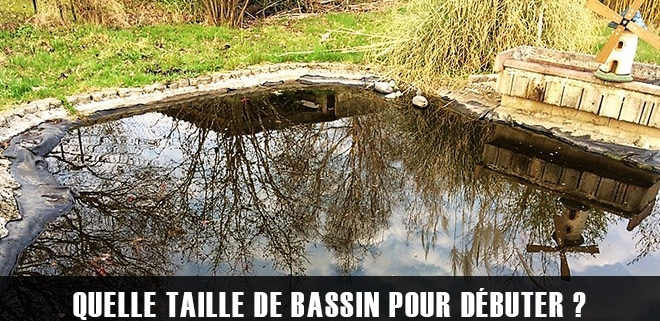 Quelle taille de bassin de jardin pour débuter ?