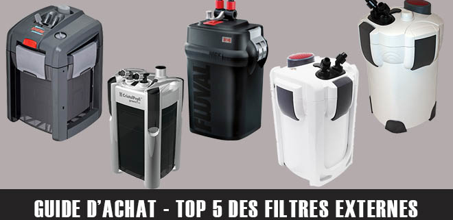Top 5 des meilleurs filtres externes pour bacs de 200L