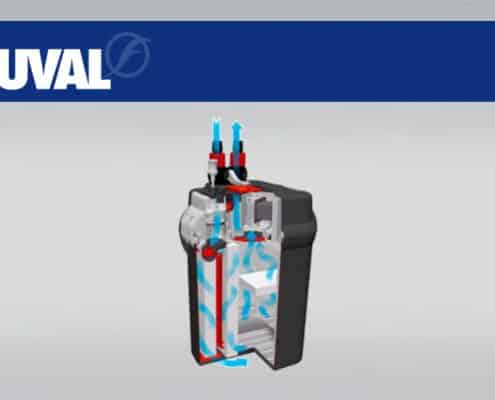 Filtre externe Fluval 306 - Circulation de l'eau
