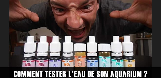 Comment tester l'eau de son aquarium ?