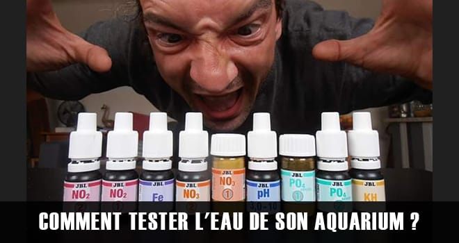 Comment tester l'eau de son aquarium ?